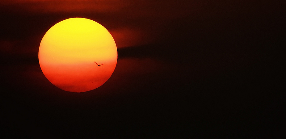 Why is The Sun Going Quiet? (Op-Ed)